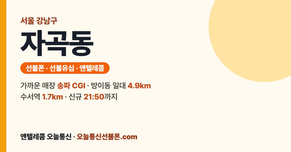 서울특별시 강남구 자곡동 선불폰 안내 — 가까운 매장 송파 CGI